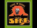 Cedric Im Brooks Collie Version 2003