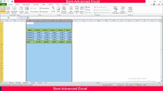 BONI ADVANCED EXCEL