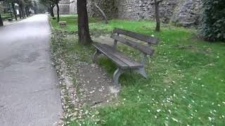 ariano-villa-comunale-resa-irriconoscibile-dai-cinghiali