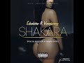 Dj Sdunkero Shakara