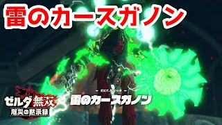 【実況】定年を迎えた父を再びハイラルの大地に放り込むPart32【ゼルダ無双 厄災の黙示録】