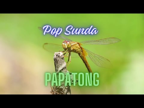 LAGU SUNDA PAPATONG - Voc. DARSO   #popsunda, #lagusunda