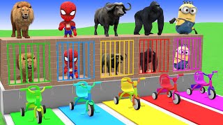 Download lagu Long Slide Game with Cow Elephant Gorilla Hippopotamus Tiger 3d Animal Game Funny 3d Animals mp3
