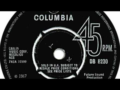 The Human Beans - It's A Wonder