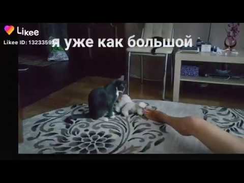 #Секс инструктор