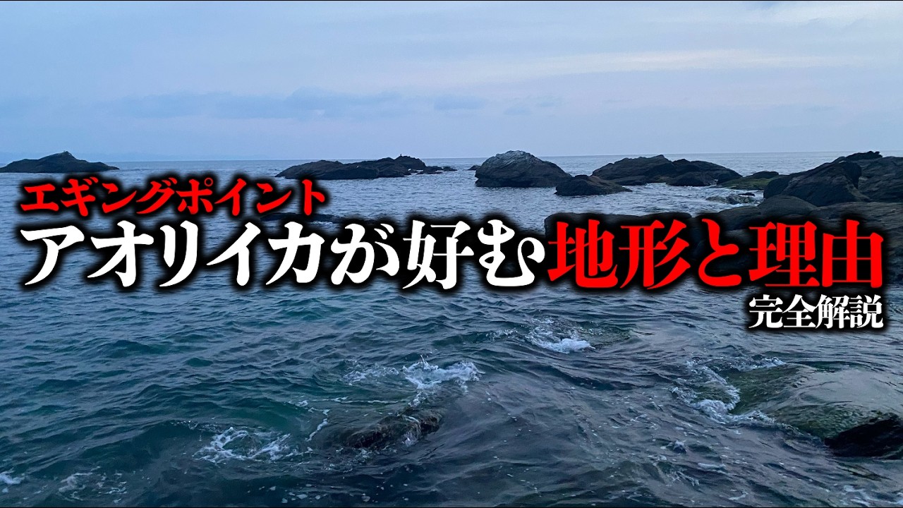 【エギング】ポイントに迷ったらココ！アオリイカが「好む地形と理由」を完全解説