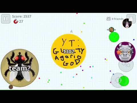 NEW MAGNETS 🧲 ARE OP