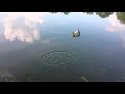 Berkley Gulp! Earthworms - Great for panfish!