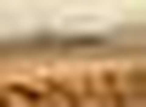 Flash Brothers - Mirage (Flash Brothers Dub mix) [HQ]