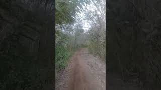jalur palu santai