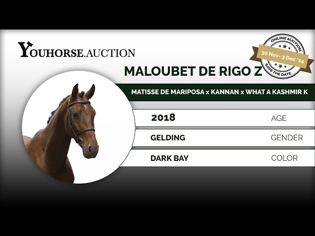 Maloubet de Rigo Z showvideo