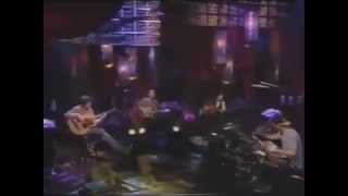 Live - Lightning Crashes in MTV Unplugged (with lyrics)