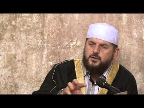 Kapitulli i ushqimeve - Ngrënia e mishit të kalit - Dr. Shefqet Krasniqi