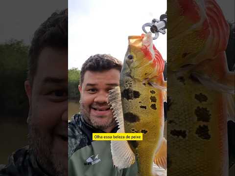 O lago do tarumã pode até fazer raiva as vezes, mas ele não decepciona!