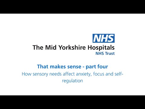 That makes sense (part 4) - How sensory needs affect anxiety, focus and self-regulation