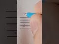 How To Create Treble Clef