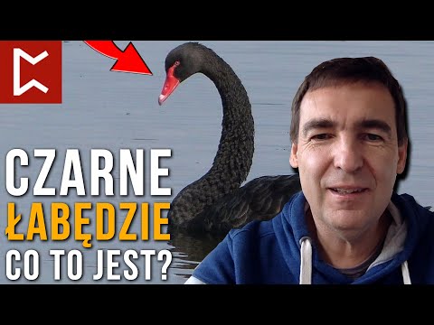 Co to jest Czarny Łabędź? - Wykładnicza Ekonomia #9