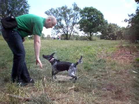 Kora zdaje  egzamin na ratownika