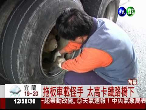 拖板車載怪手 卡橋下動彈不得