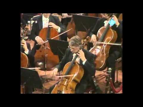 Mahler - Symphony No 9 - Haitink