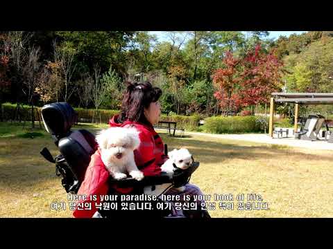 [희영레아정] Here is your paradise-Chris de burgh cover