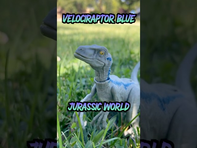 Vídeo relacionado con Jurassic World Velociraptor fuerza feroz Dinosaurio articulado, figura de juguete para niños (Mattel GWN32)