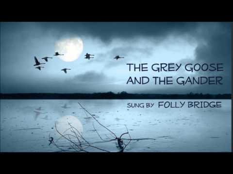 The Grey Goose and the Gander - Folly Bridge