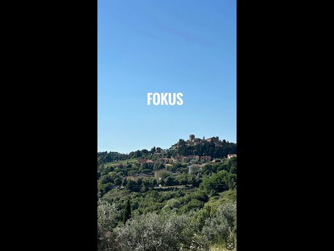 Fokus!