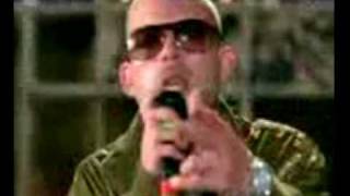 MY EVERYTHING COLLIE BUDDZ