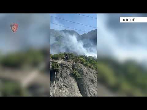 Dogji ullishtet e fqinjëve për motive pronësie, arrestohet 19-vjeçari me precedent kriminal