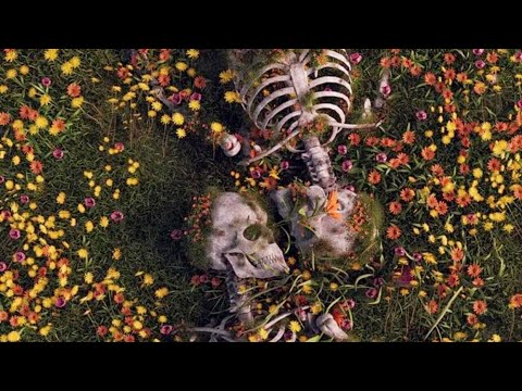 Dr.Groove - Eternity