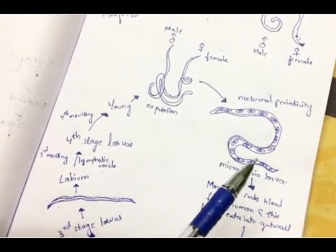 Inter 2nd year SYNAPTIC TRANSMISSION ZOOLOGY