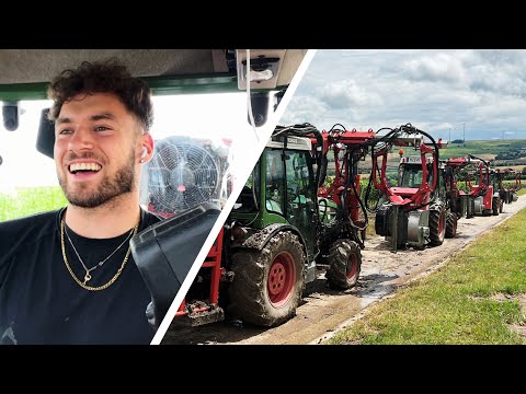 Entlauben in KOLONNE 🚜🍃🍇