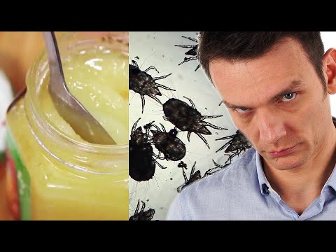 Krótki film o miodzie i robakach