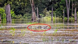 AQUILO QUE NINGUÉM TE CONTA... O QUE OLHOS INOCENTES NÃO ENXERGAM... Pescaria.