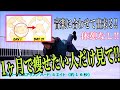 【20日後に割れる腹筋‼】【4分間腹筋集中型プランクサーキット‼】【腹筋割れるし確実に痩せます‼】