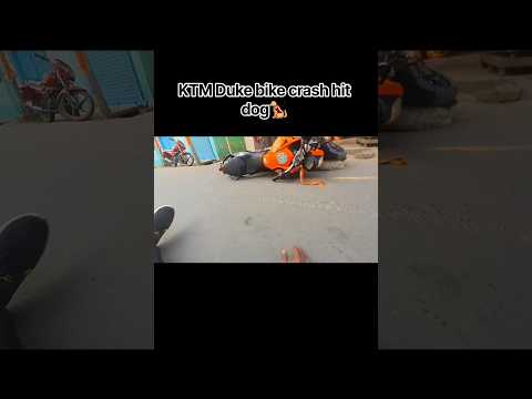 KTM bike crash heat and Dog.🐕😰 #viral #trending #shorts #ktm #duke  #bike #crash #dog #shortsfeed