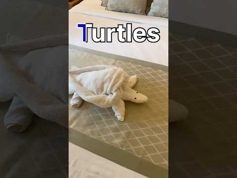 towel art #housekeeping #folding #Turtles