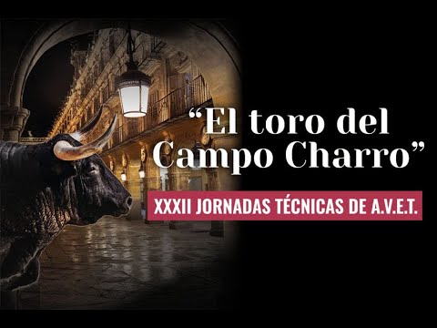 El 🐂 Toro del Campo Charro 🐂