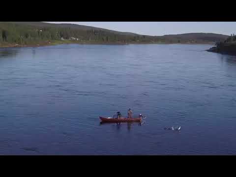 Tornionjoki 2020 ZeiZei veljesten kauden ensimmäinen.