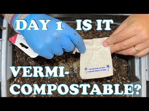 Bracelet Packaging Test Vermi-compostable or Not? Day 1 + Drink Tray Final Checkin | DIY Worm Farm