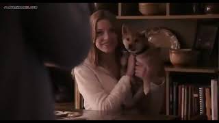 Download lagu Hachico (2009) film Anjing setia jepang [ Subtitel Indonesia ] mp3