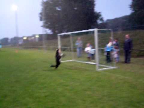 Conventus F1- EVV F1