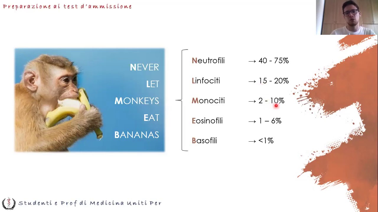 Lezione di Anatomia 13 - Sangue e Sistema Linfatico - Filippo Collotto