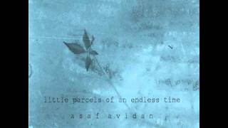 Asaf Avidan - Little parcels of an endless time (GOLD SHADOW)
