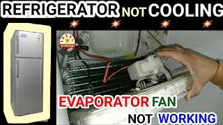 Double Door Refrigerator Not Cooling — Identify the Problem and Solve