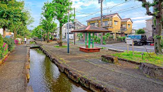 Suburban North Tokyo - Sunset Walk in Adachi-ku, Japan • 4K HDR