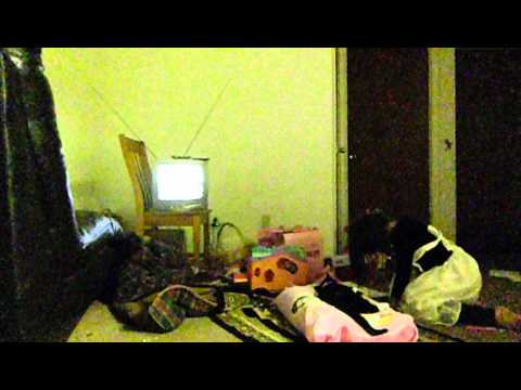 CIMG3390.AVI 1433, 09 ذو القعدة 