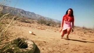 POLARNI FAZANI - aNaLiNTRuDeR