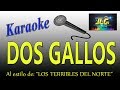 DOS GALLOS -Karaoke-  Los Terribles del Norte